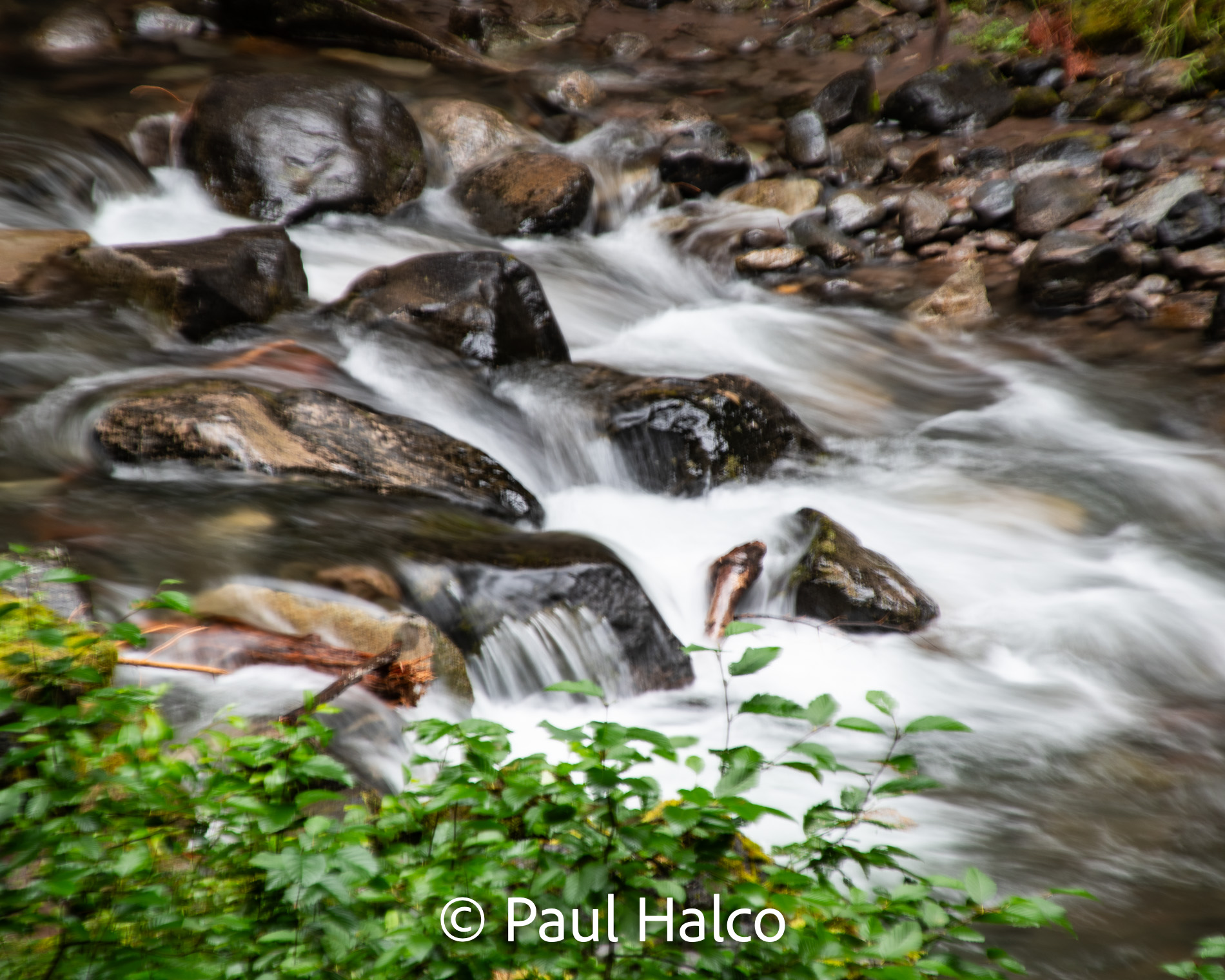 Paul Halco - Mt Ranier NP-3